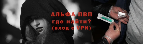 стаф Кинешма