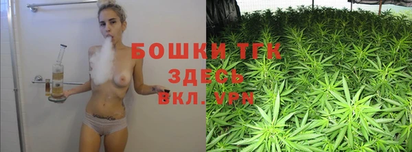 стаф Кинешма