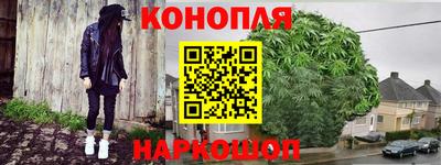 хмурый Гатчина