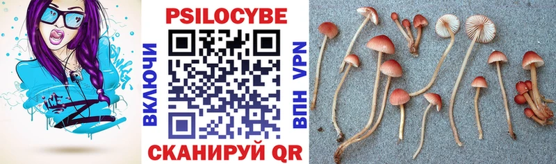 Галлюциногенные грибы мицелий  Котельники 