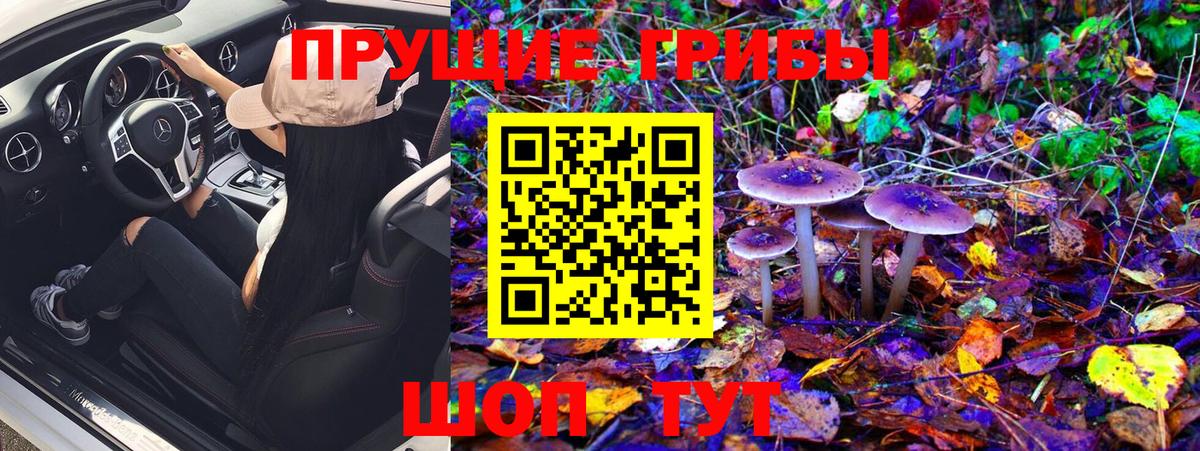 Псилоцибиновые грибы Psilocybine cubensis  Вход с VPN  Галлюциногенные грибы Cubensis  Котельники 